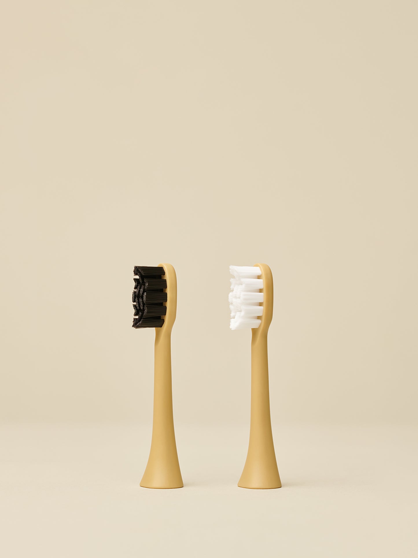 Gold Brush Head 2 Pack