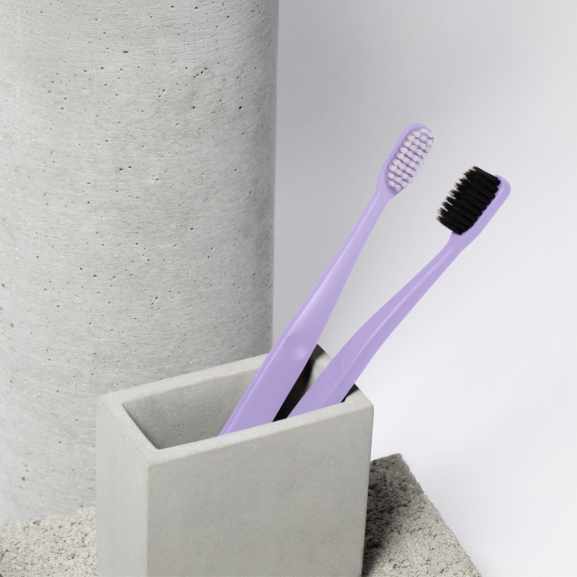 Purple Soft Bristle Toothbrush 2-Pack