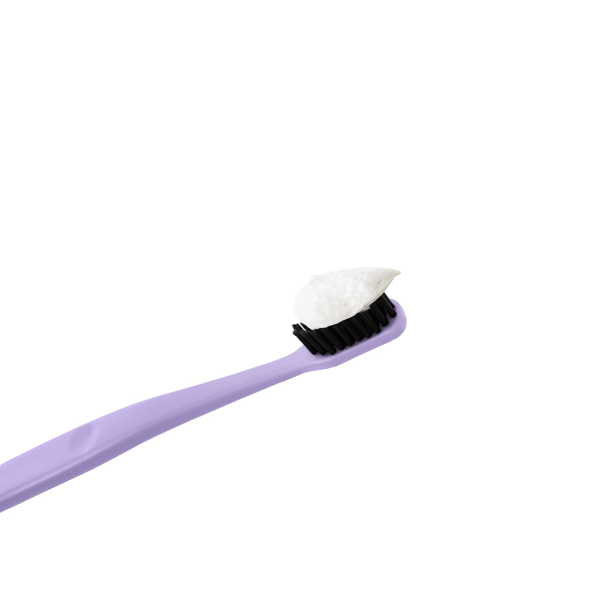 Purple Soft Bristle Toothbrush 2-Pack